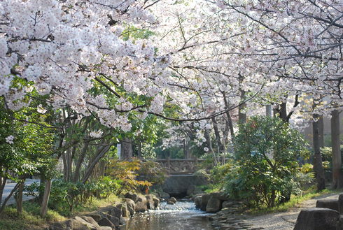 小松川境川親水公園 遊 悠 裕