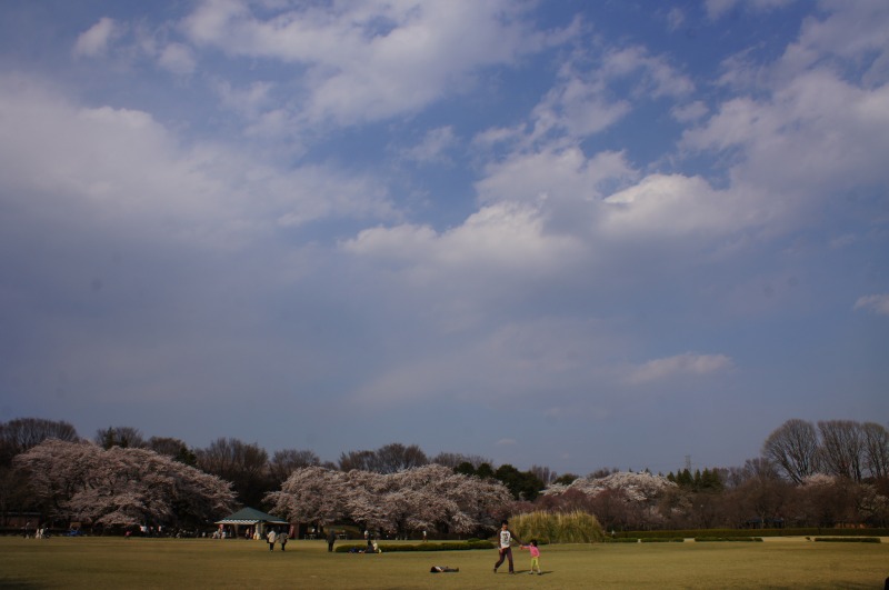 a0122932_21311222.jpg