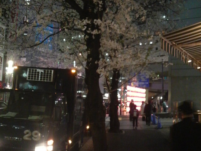 桜の季節が到来しました!_b0100432_120149.jpg