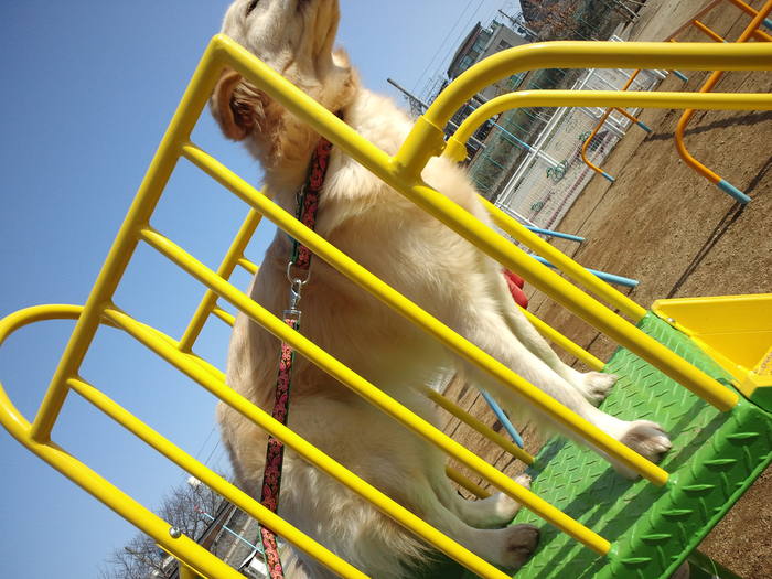 c0236632_1223233.jpg