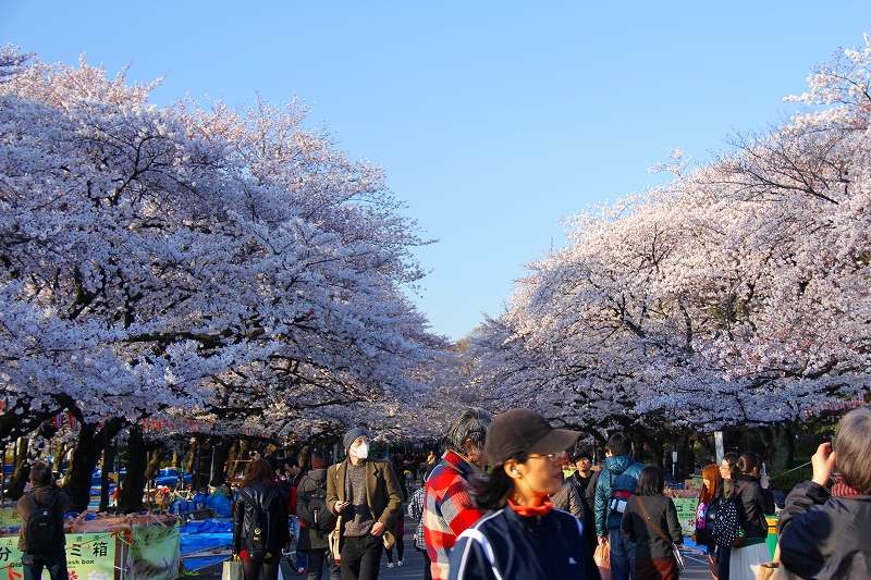 f0229832_2129158.jpg