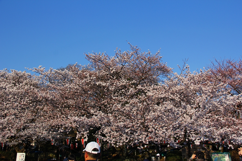 f0229832_21314246.jpg