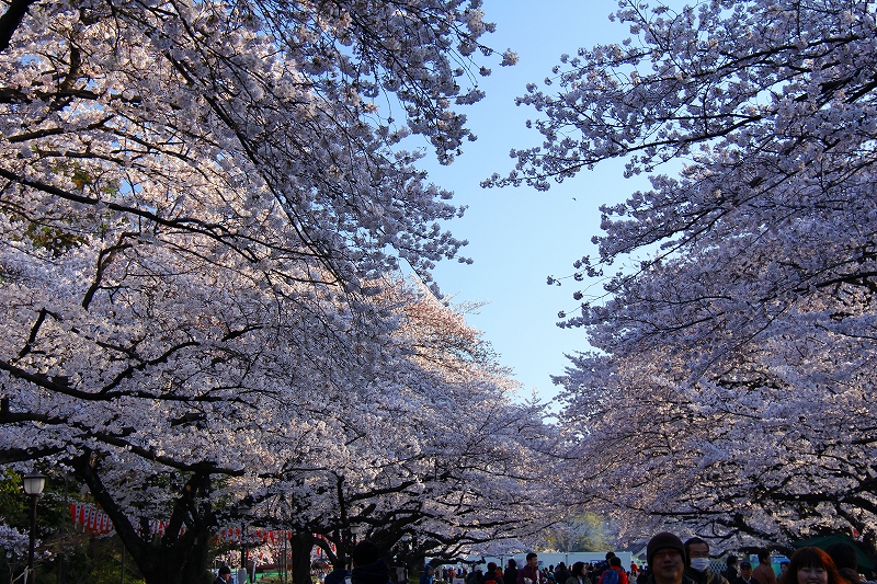 f0229832_2132302.jpg