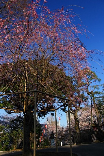 f0229832_21374199.jpg