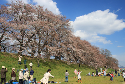 d0055236_21355189.jpg