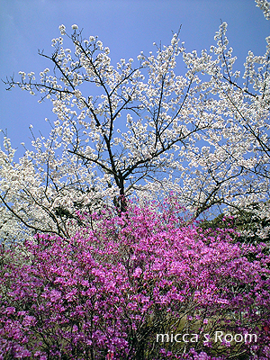 b0245038_13275716.jpg
