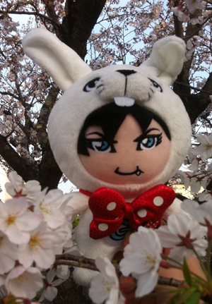 YFCzブログ更新、ダッフィーもyoshikittyも花見!_c0036138_19131153.jpg