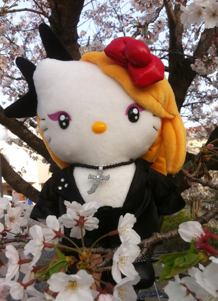 YFCzブログ更新、ダッフィーもyoshikittyも花見!_c0036138_1985874.jpg