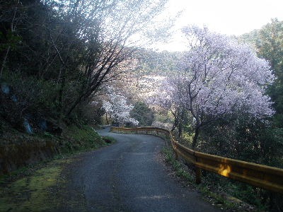 a0054240_21512568.jpg
