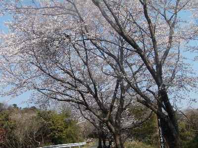 a0054240_21514925.jpg