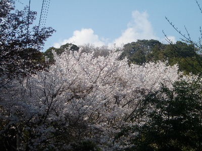 a0054240_21522421.jpg
