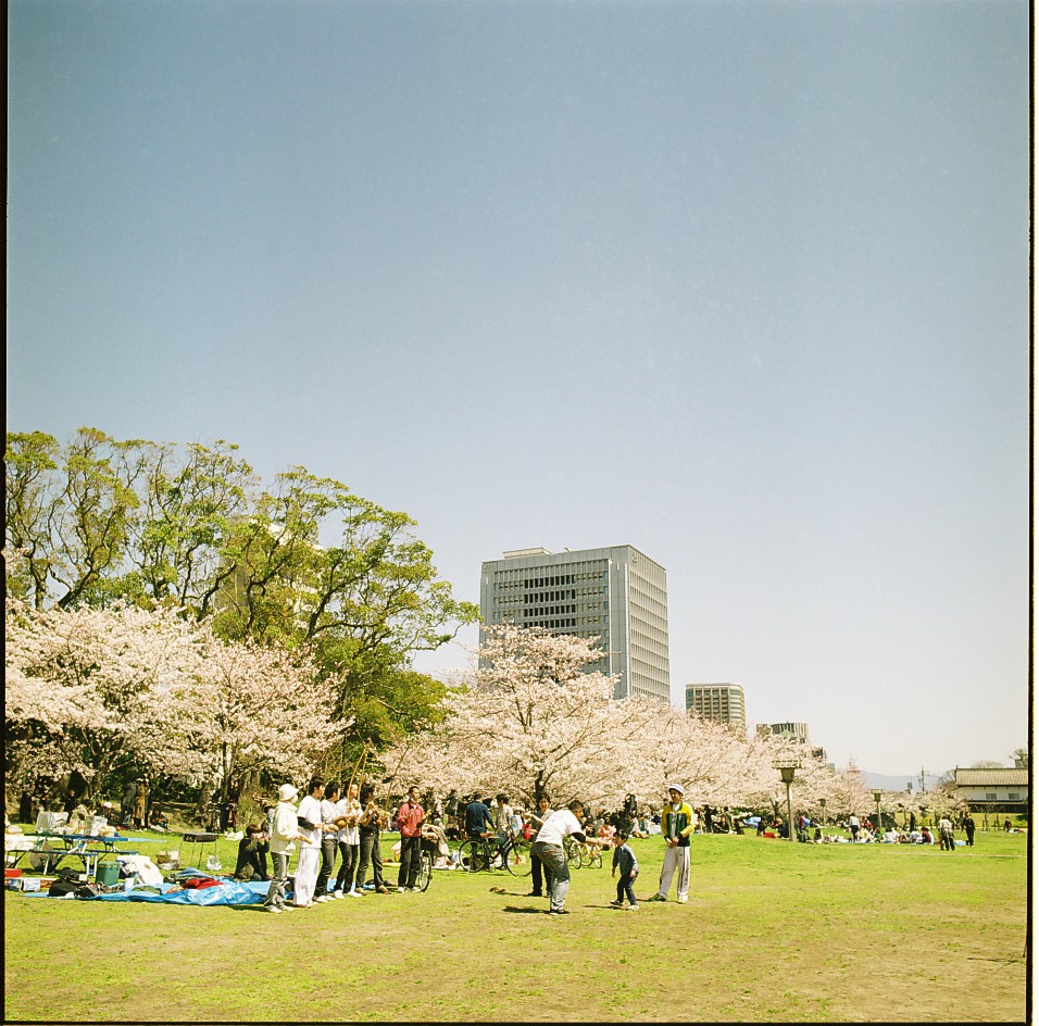 舞鶴公園　桜撮影オフ会（2012.04.01）　Part-1_e0262941_0162627.jpg