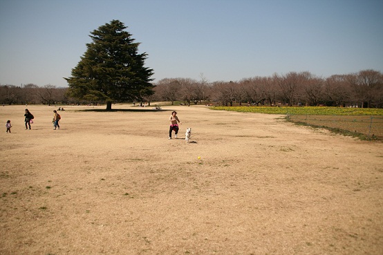 d0204043_23513740.jpg