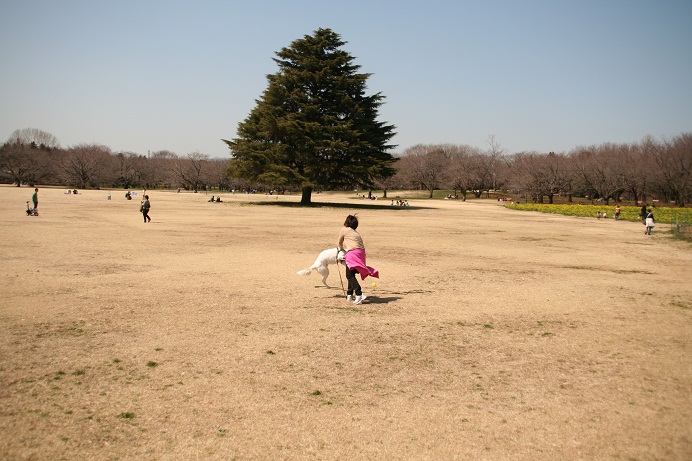 d0204043_23541396.jpg