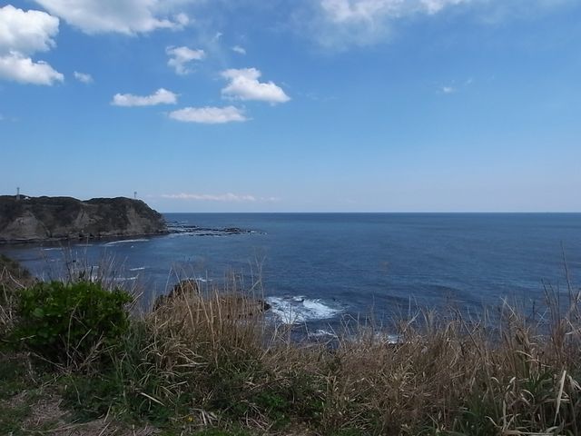 e0007544_0164024.jpg