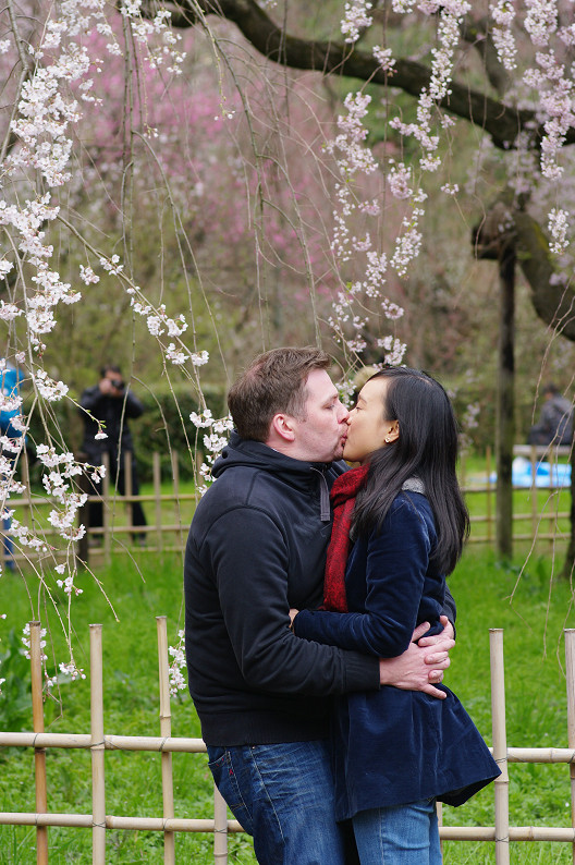 京都御苑 桜..._f0152550_2161665.jpg