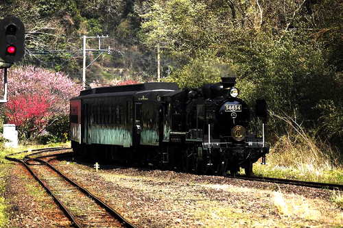 a0057752_19594386.jpg
