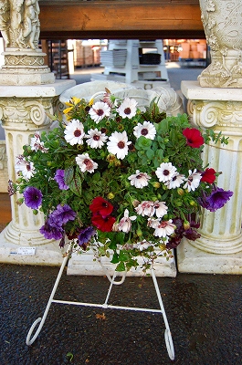 e0025655_67559.jpg
