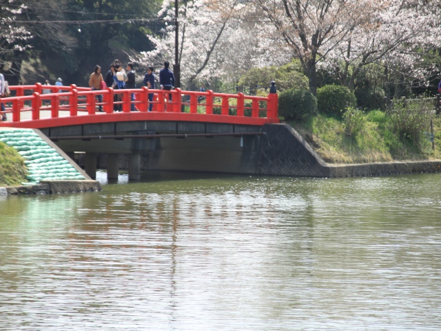 駆け足で、春がやって来た_b0124456_2205827.jpg