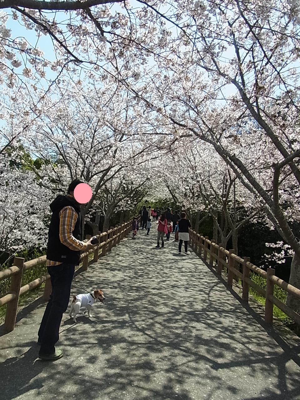 城山公園_d0143957_9382264.jpg
