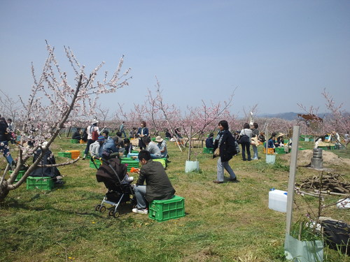 桃の花見会_a0169558_23351254.jpg