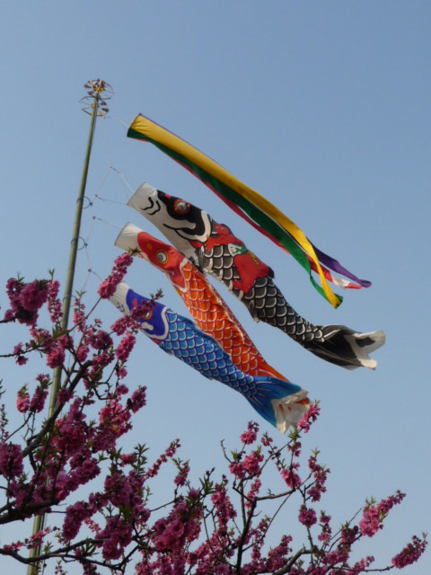 c0167359_1033320.jpg