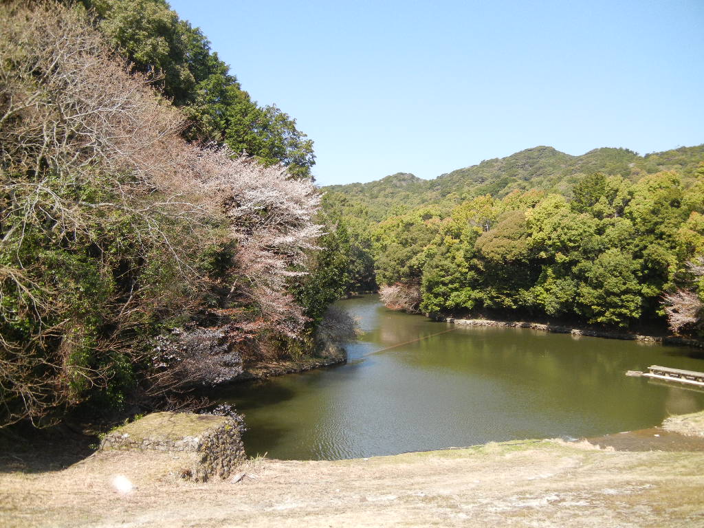 2012年4月9日(月)20度もあって暖かいYO!_f0060461_14452927.jpg