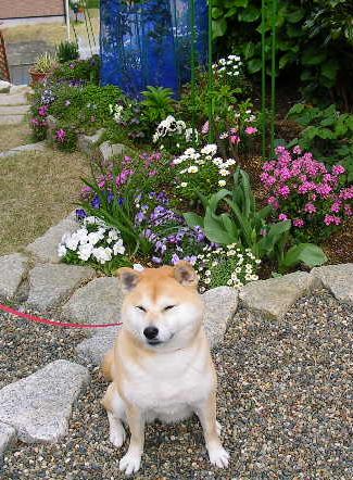 2012年4月9日(月)20度もあって暖かいYO!_f0060461_14582370.jpg