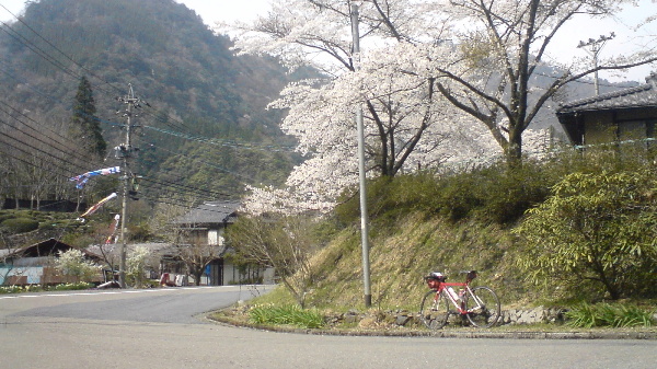 二本杉峠越え_c0060862_13103937.jpg