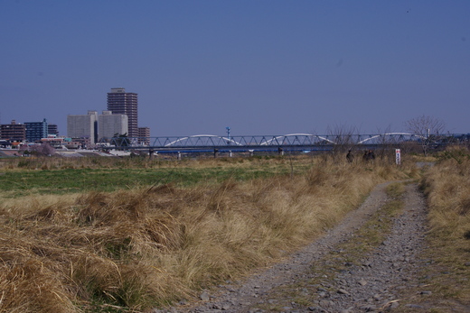 d0093462_748256.jpg