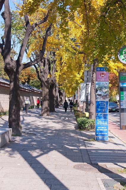 e0209962_029813.jpg