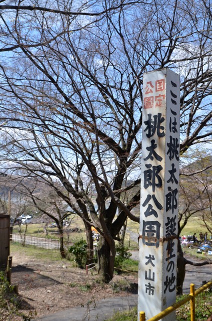 桃太郎公園でお花見_a0115667_225523.jpg