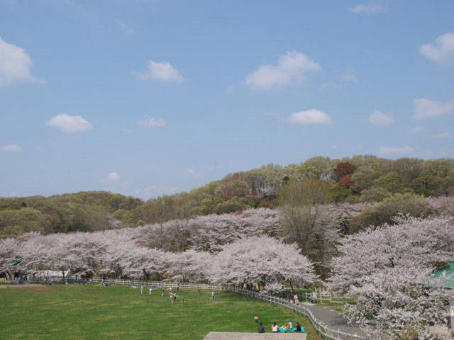c0181769_12134569.jpg