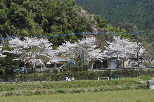 b0196171_1582643.jpg