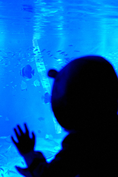 c0087773_20393350.jpg