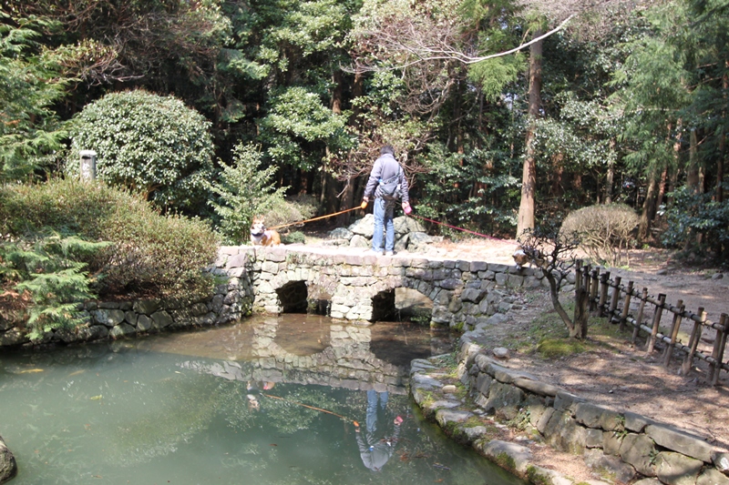 f0136675_9464240.jpg