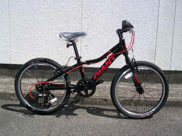 GIANT/SNAP20_b0189682_13332989.jpg
