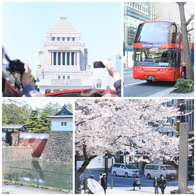 お花見スカイバスツアー♪_d0113182_11512777.jpg