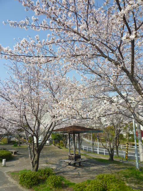 a0206984_2274146.jpg