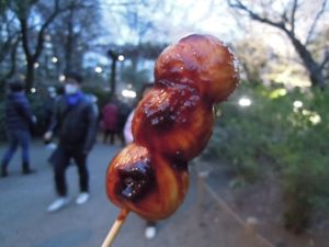 六義園のしだれ桜_e0030586_0333314.jpg