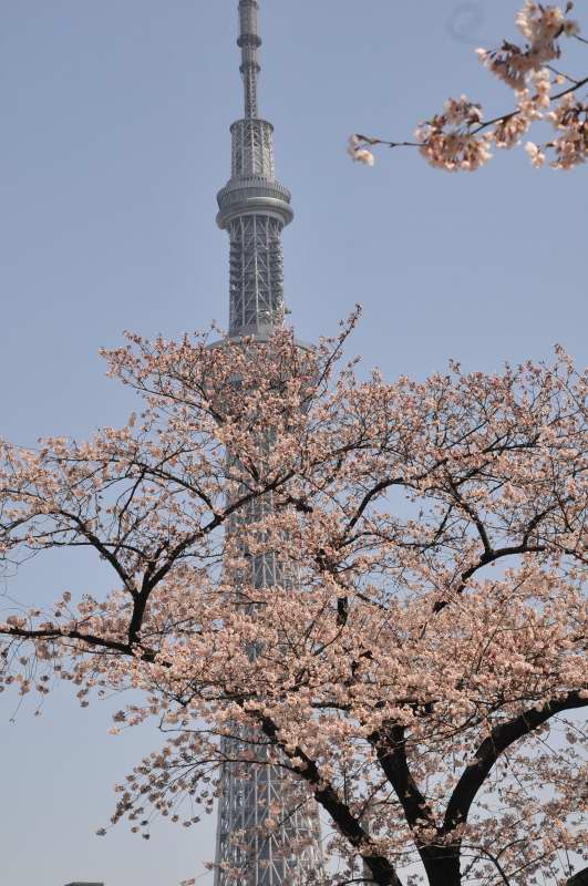 f0202686_21464789.jpg
