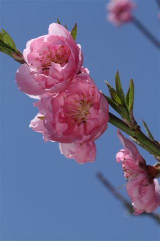細川隆平カメラマンより・・・。_a0075387_1211570.jpg