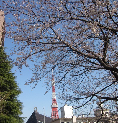 f0171089_20595460.jpg