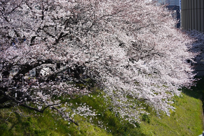 a0127090_22274430.jpg