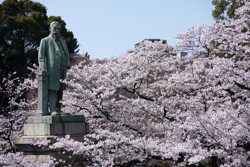 靖国神社の桜_a0127090_22303249.jpg