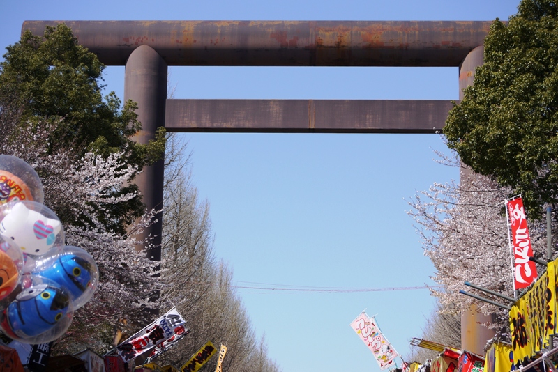 靖国神社の桜_a0127090_22315496.jpg