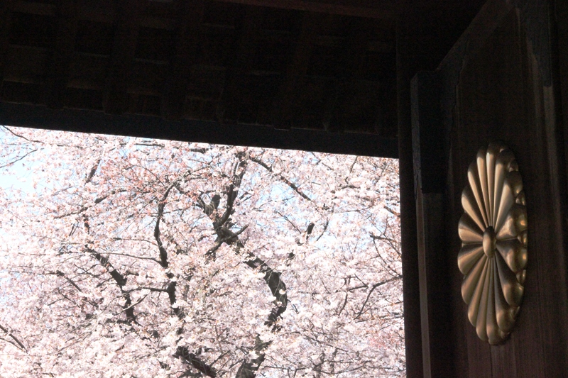 靖国神社の桜_a0127090_22334663.jpg