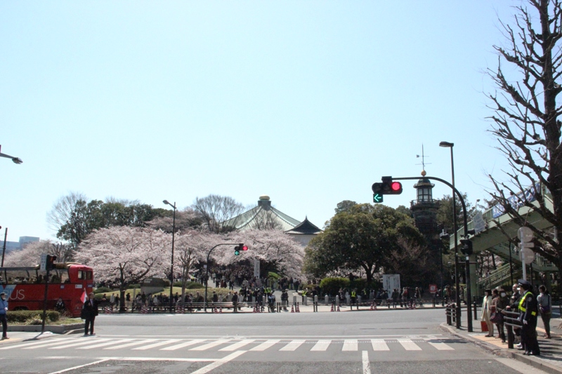 靖国神社の桜_a0127090_22411344.jpg