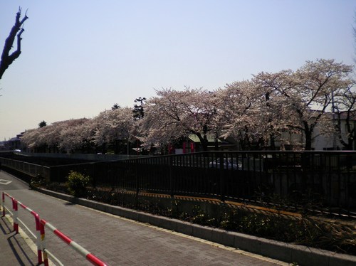 c0223591_1813563.jpg