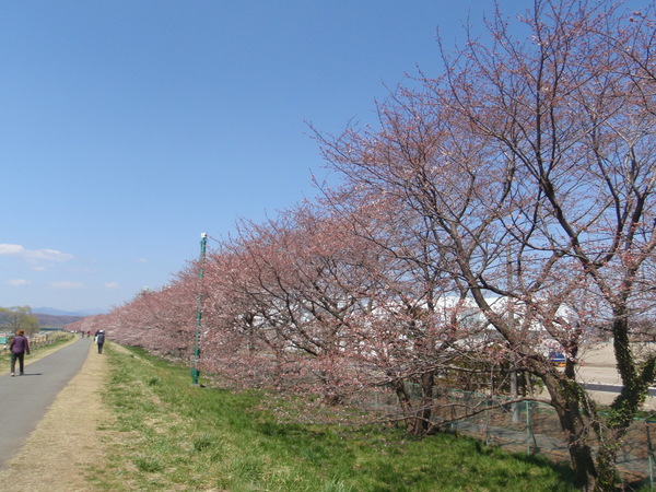d0034291_21562014.jpg